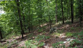 13 Hidden Vly Lks, Annapolis, MO 63620