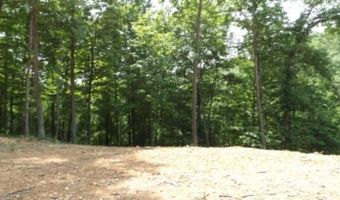 8 63ac Gravely Hill Rd, Bethpage, TN 37022