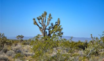 2641 S Javelina Rd, Yucca, AZ 86438