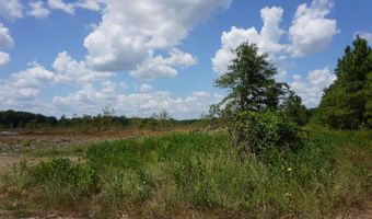 000 Stokes Rd, Bald Knob, AR 72010