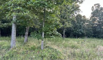 County Road 304, Alton, MO 65606