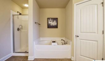 325 GOLDEN MEADOWS Pl, Alabaster, AL 35007