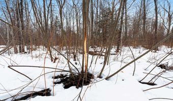 6506 DOUBLE BEND Rd, Argonne, WI 54511