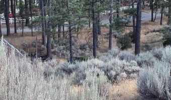 030 Butterfly Peak Rd, Mountain Center, CA 92561