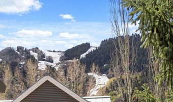 101 E Hallam St, Aspen, CO 81611