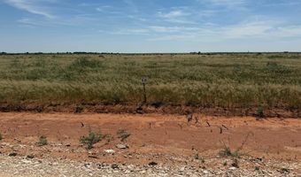 1150 SE 1630, Andrews, TX 79714