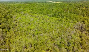 Beech Bluff Road, Beech Bluff, TN 38313