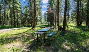 1385 Echo Lake Rd, Bigfork, MT 59911