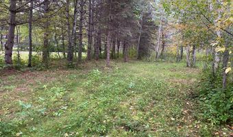 TBD LOT 13 Owl Avenue, Aitkin, MN 56431