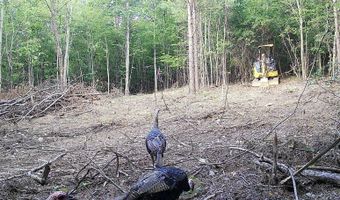 450 Lake Marvin Rd, Armuchee, GA 30105