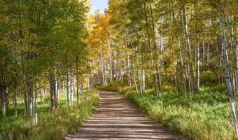 5387 Castle Creek Rd, Aspen, CO 81612