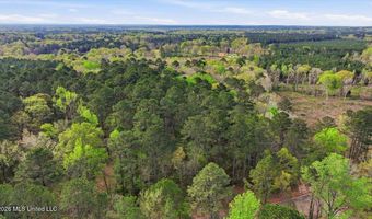 Harrisville Braxton Road, Braxton, MS 39044