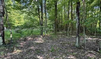 Parcel 5 N Bunner Ridge Road, Fairmont, WV 26554