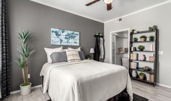 29606 N TATUM Blvd 245, Cave Creek, AZ 85331