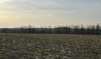Lot 4 Mud Run Rd, Addison, NY 14801