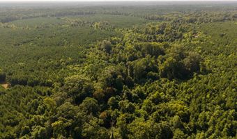 235 Woodrow Martin Rd, Brandon, MS 39042