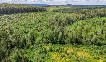 62- Acres Grandmas Hill Rd, Amherst, VA 24521