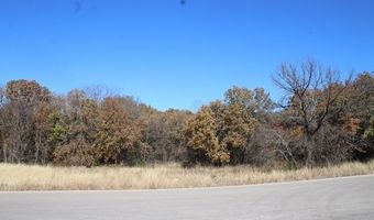 450 Rolling Hills Blvd, Alvord, TX 76225