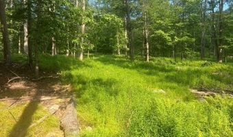 242 Brush Mountain Rd, Altoona, PA 16601