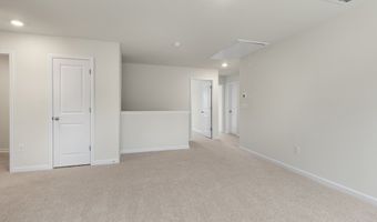 78 Stone Apiary Dr, Angier, NC 27501