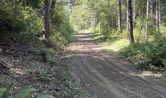 Agness-Illahe Rd, Agness, OR 97406