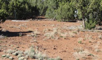 113 County Road 8092 Cedar, Concho, AZ 85924
