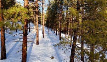 24003 Sidehill Ln, Bonner, MT 59823