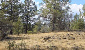 Canvasback Drive 32, Bonanza, OR 97623