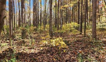 Soybean Drive, Appomattox, VA 24522