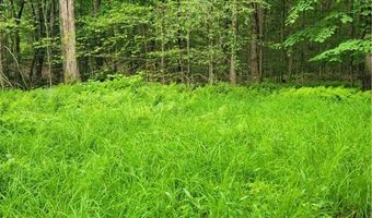 Keppy Carr Road, Amboy, NY 13493