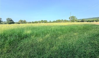 Hwy 307 lot 0, Belleville, AR 72824