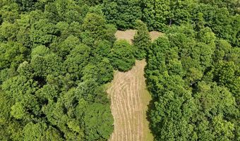 Sulphur Creek Road, Big Sandy, TN 38221