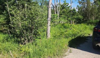 281 Geronimo Rd, Alpena, MI 49707
