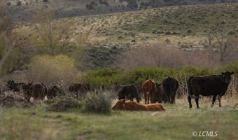 18552 Twenty Mile Rd, Adel, OR 97620