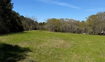 2584 County Road 6647, Banks, AL 36005
