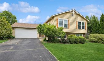 202 W Tanglewood Dr, Arlington Heights, IL 60004