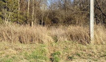 0002 CR-290, Asbury, MO 64832