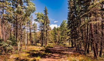 County Rd 46, Aguilar, CO 81020