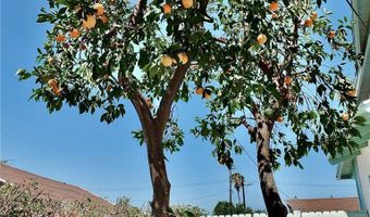 4526 Ivar Ave, Rosemead, CA 91770