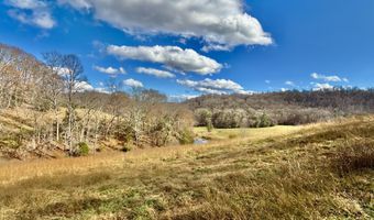 1520 Brittontown Rd, Afton, TN 37616