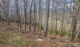 TBD Lot # 46 Woodlily Drive, Banner Elk, NC 28604