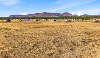 34 County Road 2100, Alpine, AZ 85920