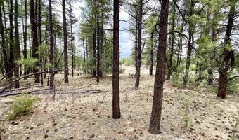 99 Big Notch Forest Trl, Bluewater, NM 87005