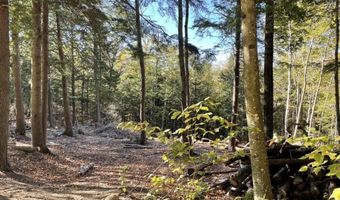 341 Perkins Hill Rd Lot 7, Alexandria, NH 03222