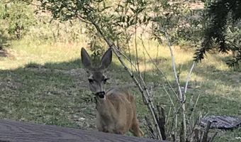 17 County Road 2195, Alpine, AZ 85920