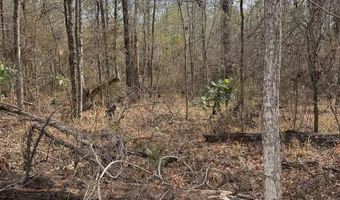 Singer Ln, Abbeville, AL 36310