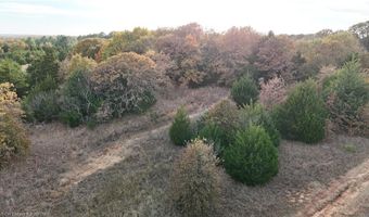 Tract 4 Acme RD, Asher, OK 74826