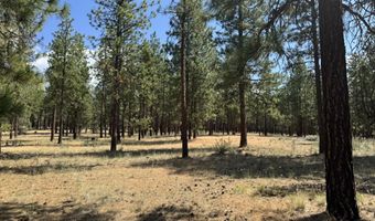 28961 Yonna Wood Rd, Bonanza, OR 97623
