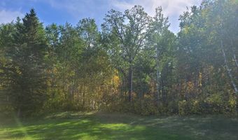 Birchwood Heights 2nd Addition lot 17, Bottineau, ND 58318