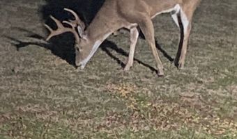 7569 E W 148 Rd, Allen, OK 74825